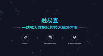融易查 引領(lǐng)互聯(lián)網(wǎng)時代大數(shù)據(jù)風(fēng)控技術(shù)的數(shù)據(jù)服務(wù)